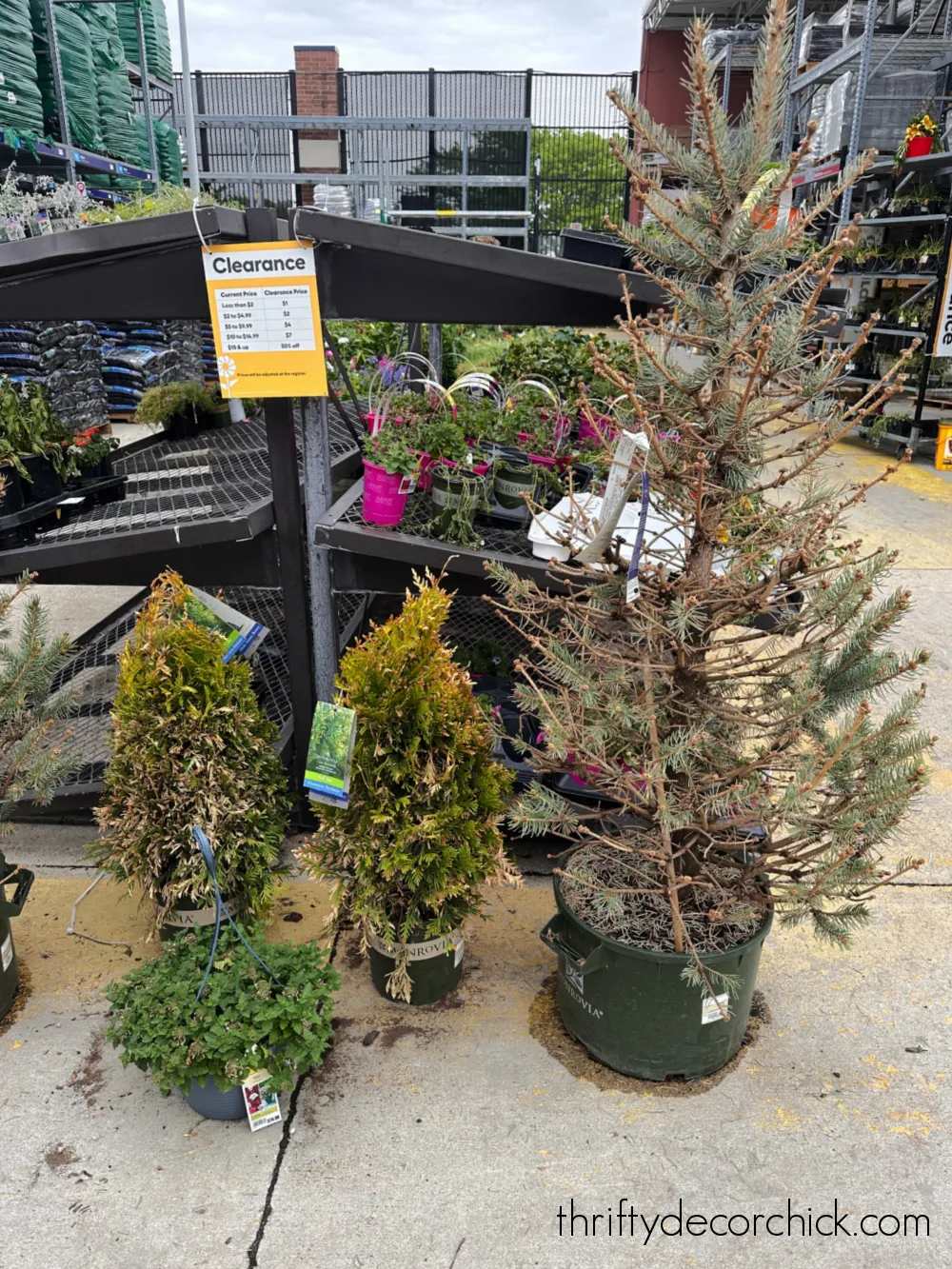 clearance section Lowe's